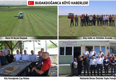 Köy Meramızda Ot Biçimini Büyük Bir Coşkuyla Gerçekleştirdik