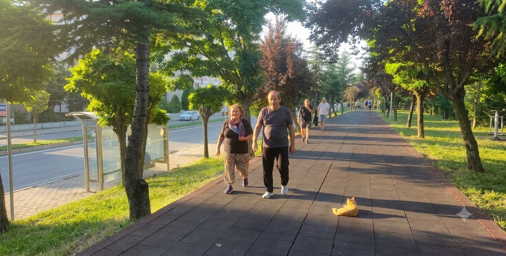 Budakdoğanca’nın Örnek Çifti: Yüksel & Kemal Sabandüzen